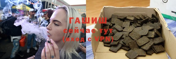 сатива Горняк