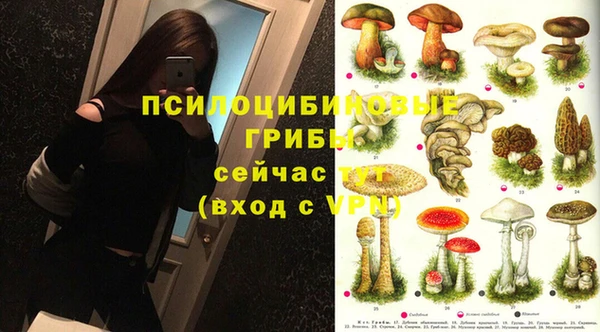 соль курить ск Горнозаводск