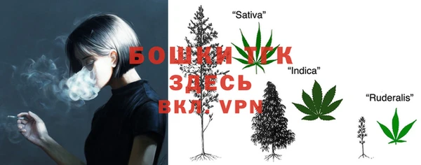 сатива Горняк