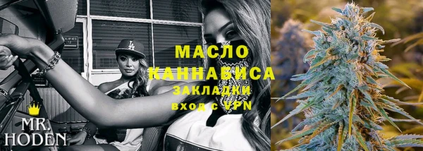 сатива Горняк
