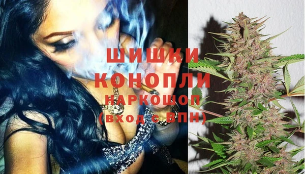 сатива Горняк