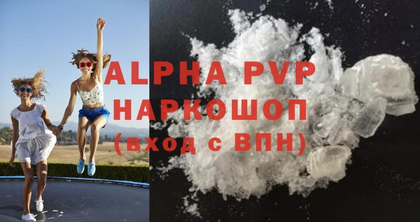 сатива Горняк