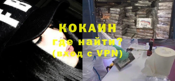 сатива Горняк