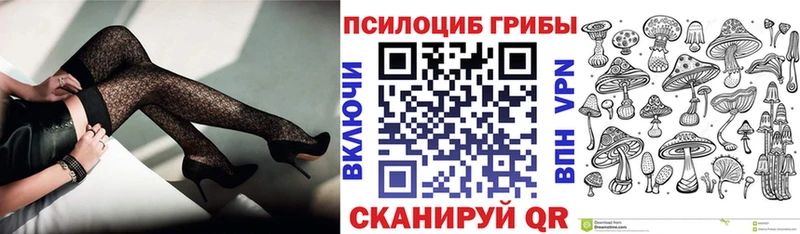 дарнет шоп  Вельск  Псилоцибиновые грибы Magic Shrooms 